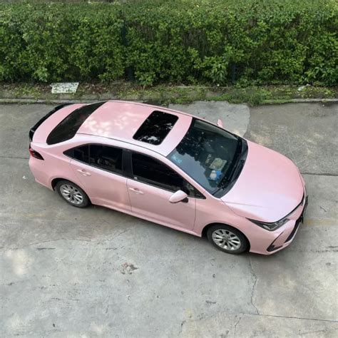 Lantern Pink Corolla 